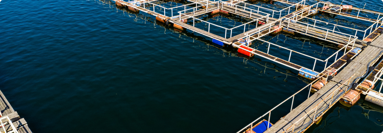 Aeration Pumps Aeration Pumps